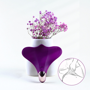USB-Aufladung Wearable Panty Lesben Unterwäsche Vagina G-Punkt Sexspielzeug für Frauen Bullet Vibrator mit Fernbedienung - Product Image 2