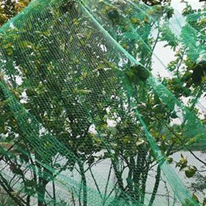 Cat <strong>Net</strong> Garden Tree Agriculture Protect <strong>Net</strong> Pe Monofilament <strong>Anti</strong> <strong>Bird</strong> <strong>Net</strong> - Product Image 3