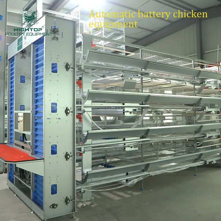 Jaula automática de 4 niveles para aves de corral, jaula para pollos con alimentador automático, comercial, de Sudáfrica, de 4 niveles, 10000