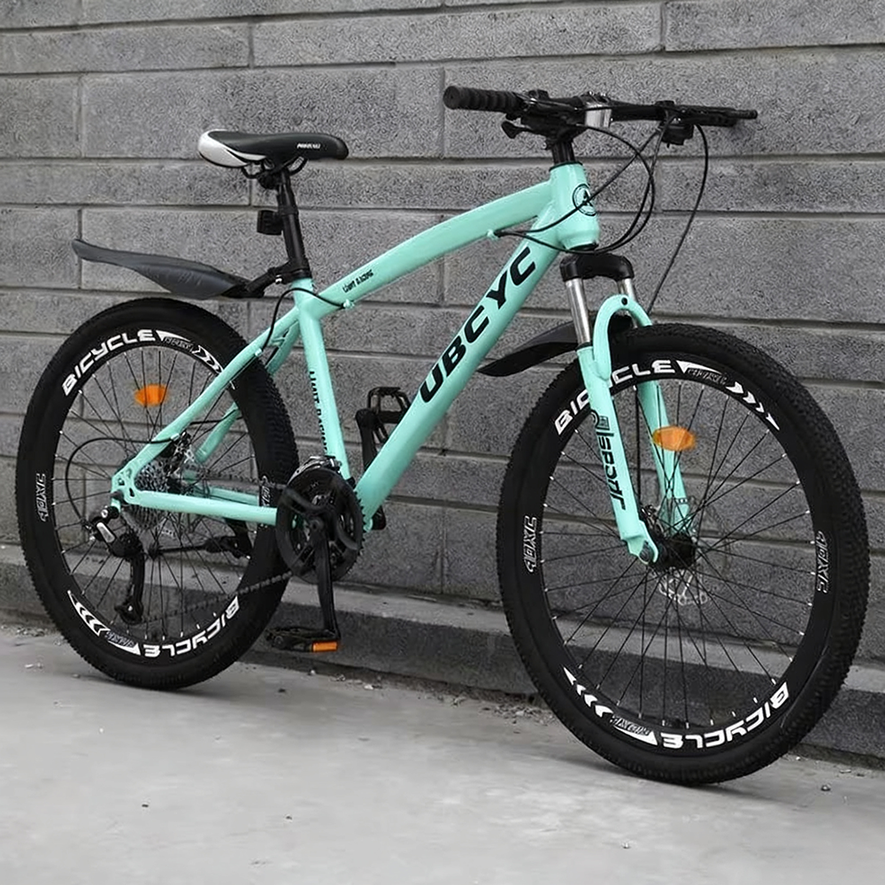 Mountain bike nera e blu