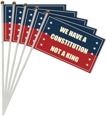 La Constitution n'est pas un roi