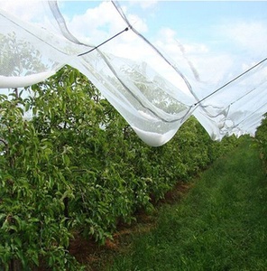 Gran oferta, malla fina para protección de cultivos, red para mosquitos, insectos, red para insectos, barrera para cultivo de invernadero, red antiinsectos para jardín