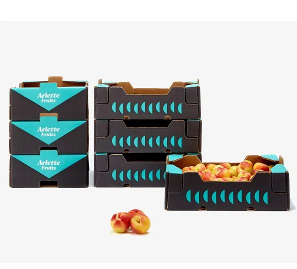 Caja de embalaje de papel de cuero corrugado para fruta y ensalada, alta calidad, para llevar fruta fresca