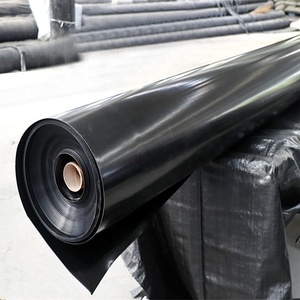 <strong>HDPE</strong>/LDPE/LLDPE Geomembrane for Environmental Protection Isotation Anti-Seepage Waterproof - Product Image 4