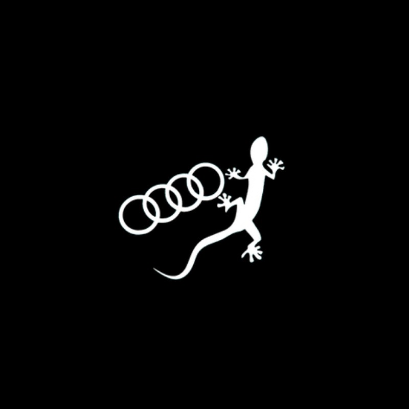 gecko