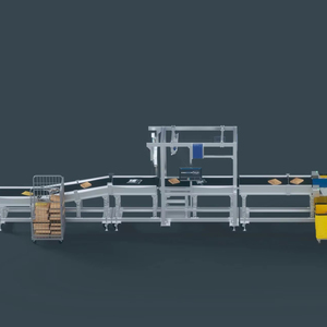 Kunden spezifische neue Logistik-DWS-Sortier system linie für Einzel-und Produktions anlagen mit Kern-SPS und Motor komponenten