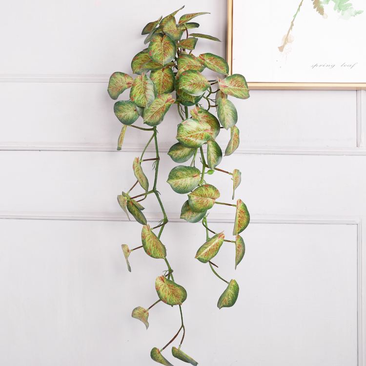 6(90cm)