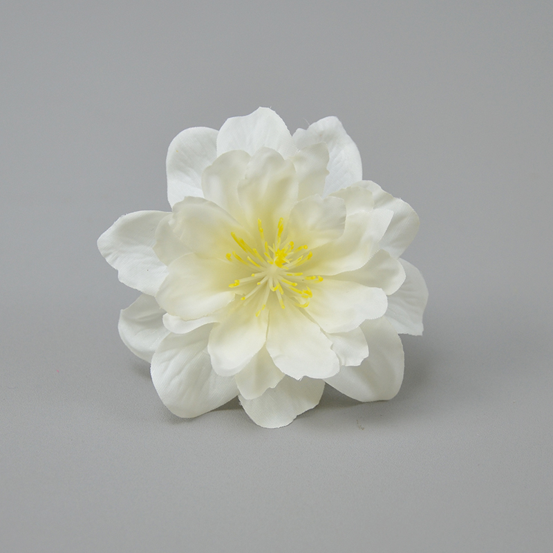 blanc pur
