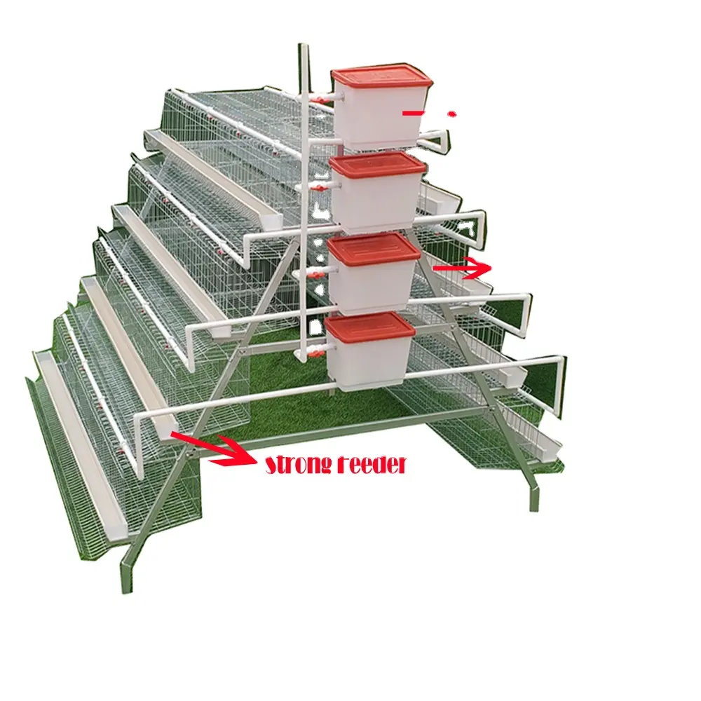 120 galinhas reprodutoras frango camada gaiola bateria galvanizada galinhas poedeiras camada ovo frango gaiola