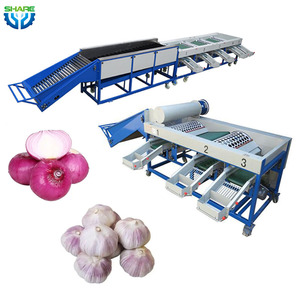 <strong>Automated</strong> Advanced Garlic Onion <strong>Sorting</strong> <strong>Machine</strong> Digital Garlic <strong>Sorting</strong> <strong>Machine</strong> Garlic Clove <strong>Sorting</strong> Onion Grader <strong>Machine</strong> - Product Image 1