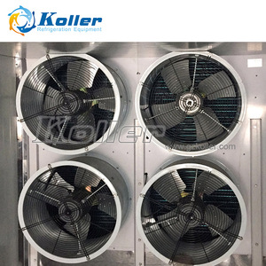 Prix des conteneurs frigorifiques portables et mobiles de 10 pieds 10 pieds 3 mètres de longueur pour l'entreposage frigorifique en chambre réfrigérée - Product Image 4