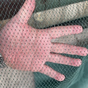 High Quality 3ply Mesh 10/12/14/17 Mm100% PE Fishing Net - Product Image 5