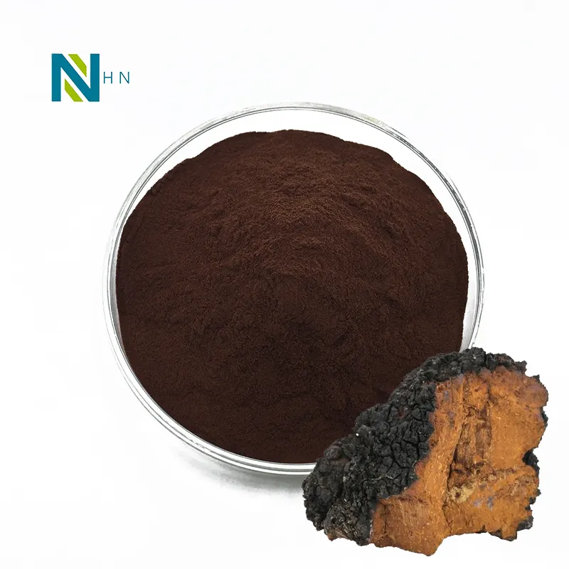 Chaga fungo organico estratto chaga fungo caffè chaga extrakt in polvere
