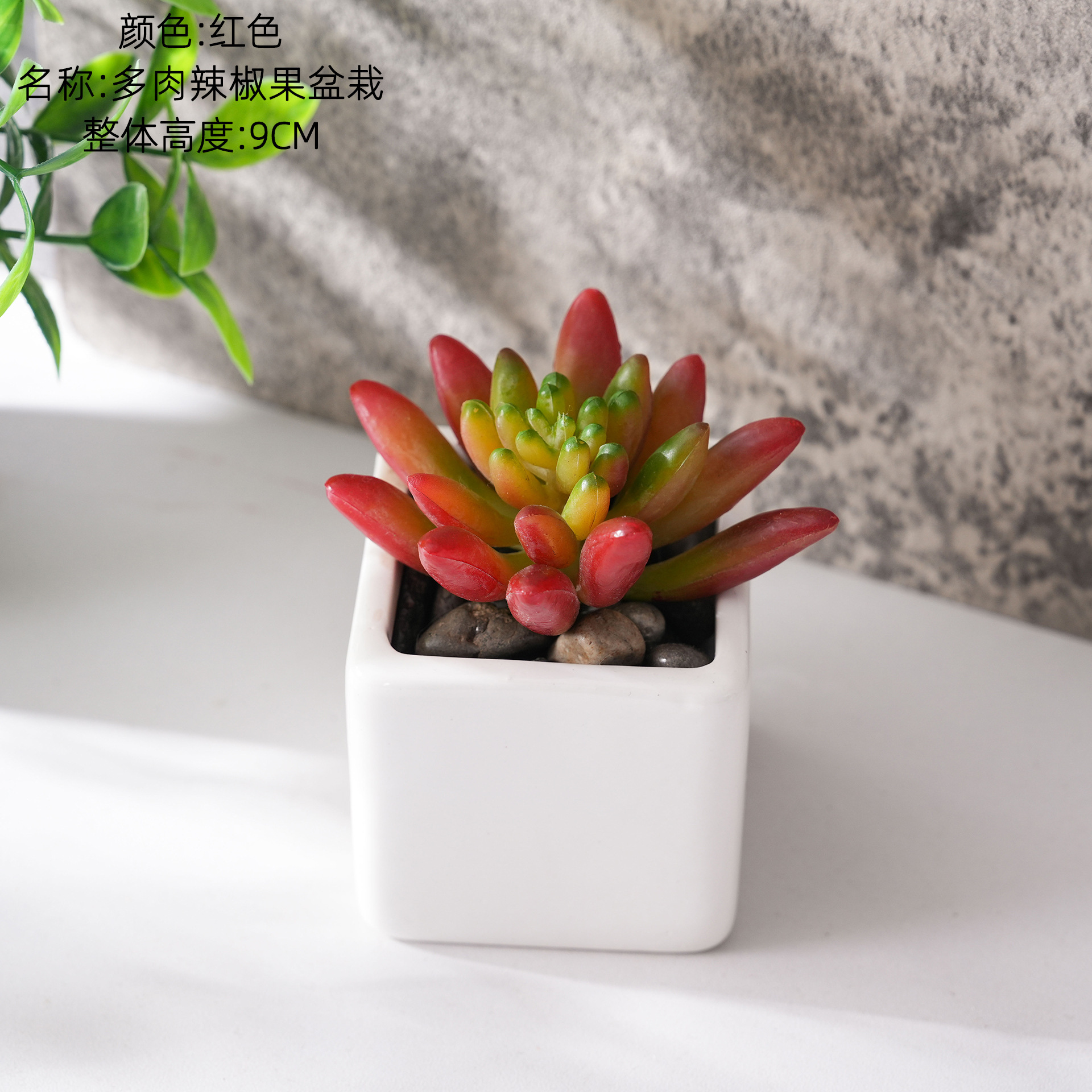 CF02250 Rouge