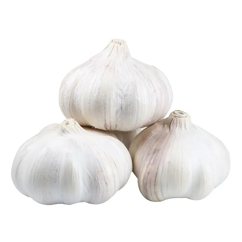 Wholesale Garlic Normal White Fresh Garlic Top Crop Style Color Cooking Weight Origin Type Shandong Quality Garlic