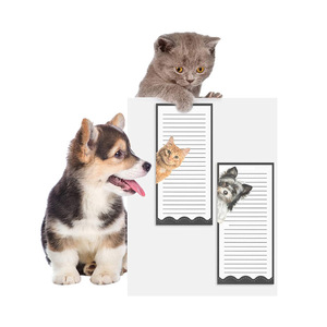 可爱猫狗动物便签贴纸促销便签定制便签移印不干胶记事本 - Product Image 4