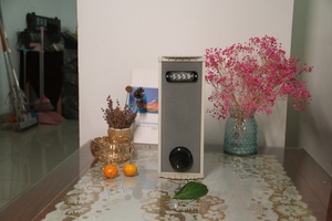 电源扬声器可定制副入侵者户外防狼报警系统 - Product Image 6