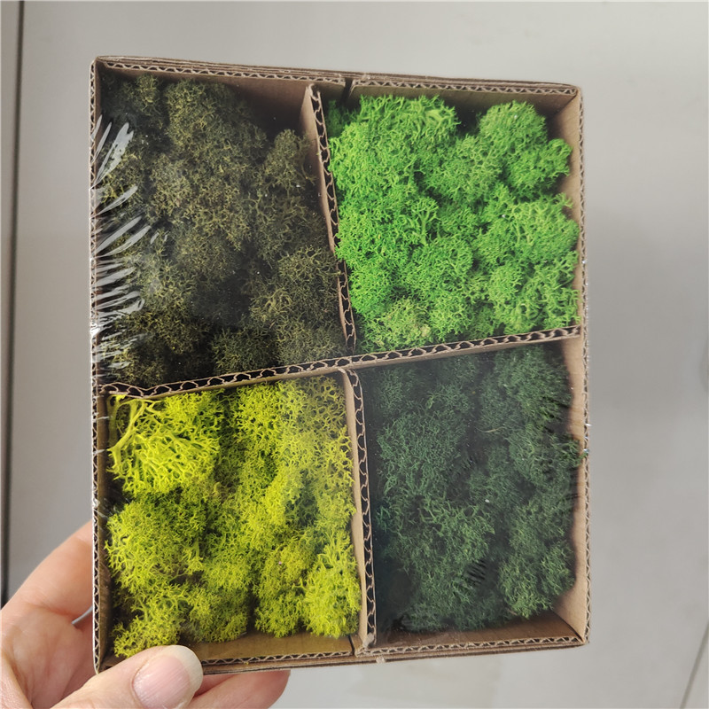 Serie di colori verdi misti-100g
