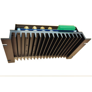DC10/48RT100BL-XW DC-Motor drehzahl regler 12V 24V 48V 50A 100A pwm Gleichstrom motors teuerung - Product Image 5