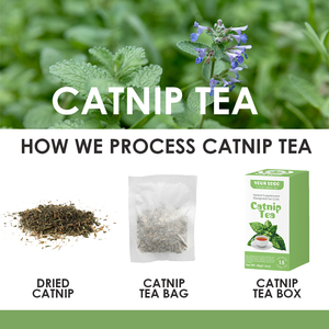 Té de hierba gatera seca Natural de alta calidad para gatos Atractivo beber más agua Catnip Tea Bag Catnip para gato - Product Image 3