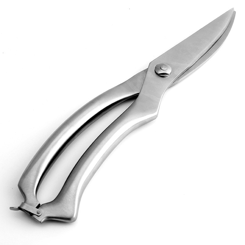 Argent SC01
