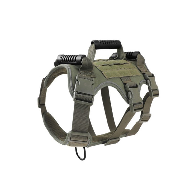 กองทัพสีเขียว