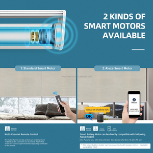 Factory Direct Sell Day and Night New Style Motorized Smart <strong>Things</strong> Horizontal Shangarila Blinds for Home - Product Image 2