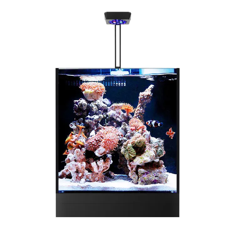 Micmol Thor Smart Marine Aquarium Licht