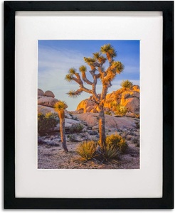 Black Wooden 16 <strong>X</strong> <strong>20</strong> Picture <strong>Frame</strong> with Tempered Glass for Photo Horizontal Vertical Display - Product Image 2