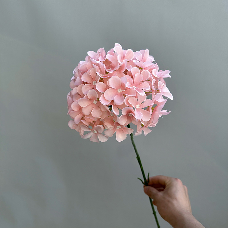 Rose foncé