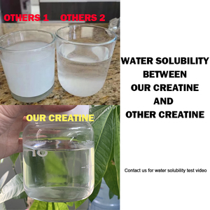 Creatine Monohydrate không hương vị bán buôn, Creatine Monohydrate số lượng lớn 500g, Creatine Monohydrate dạng bột siêu nhỏ - Product Image 5