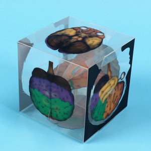 DIY组装人脑立方体模型儿童小实验材料包 - Product Image 2