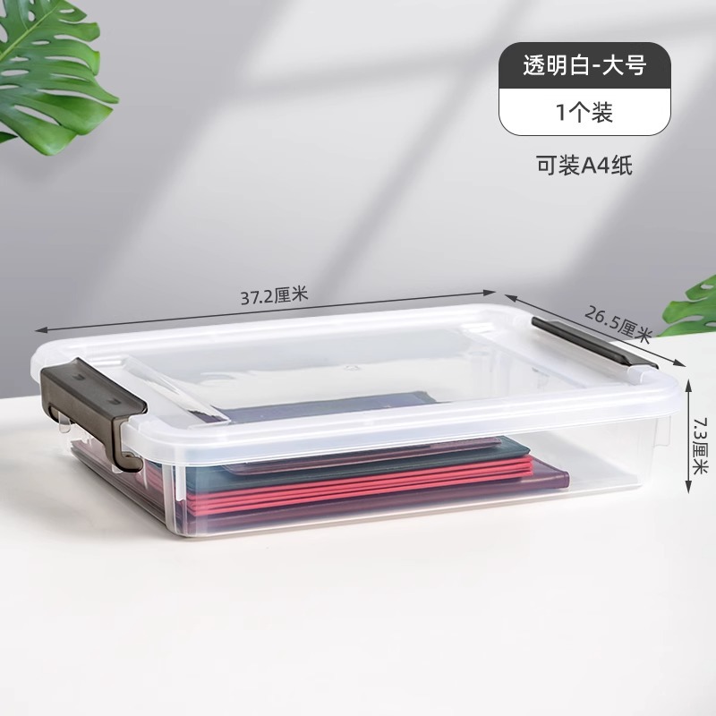 X-6313 Small Transparent Document Case (1 piece)
