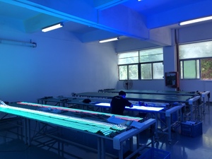 Doppelte Signal leitungs übertragung 16.4ft läuft einzeln 12V flexible Farbe bewegliche LED-Streifen ws2815 60leds