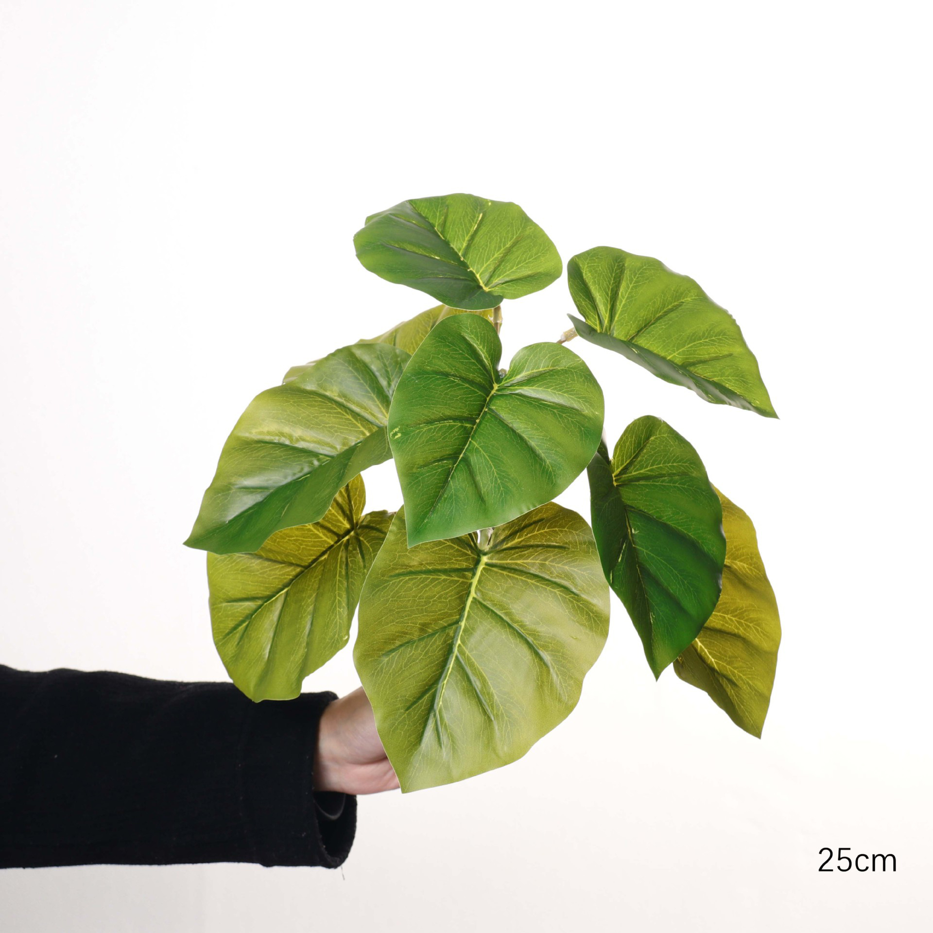 25cm Large 9-Leaf Golden Pothos
