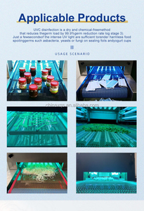 Xpes UV Đèn Tiệt Trùng Đường Hầm Khử Trùng Máy Cho Bánh Bề Mặt UV Đường Hầm Khử Trùng Thiết Bị Cho Hạt Và Trái Cây - Product Image 4