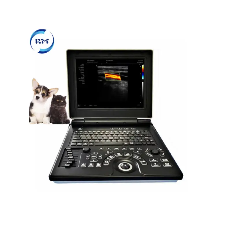 Rayman Veterinária Ultrassom Portátil Color Doppler Ultrasound Machine hospital animal útil