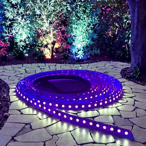 Wholesale Remote Control RGB Magic Digital <strong>Led</strong> Strip Lights DC12V <strong>LED</strong> Strip Lighting for Decoration - Product Image 4