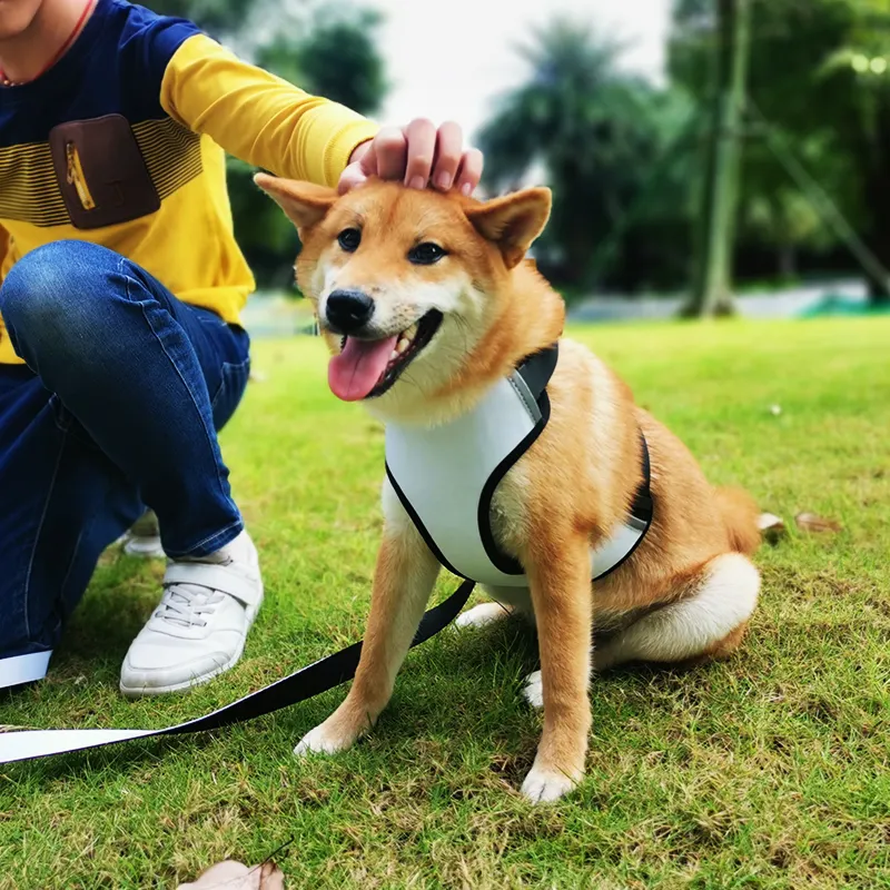Imbracatura per cani con Logo personalizzato di lusso personalizzato Oem in Nylon tinta unita regolabile in bianco imbracatura per cani a sublimazione automatica in bianco
