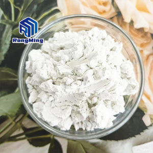 Horticultural Grade Premium Diatomite Non-Metallic Mineral for Potting Soil and Hydroponic Medium <strong>SiO2</strong> Chemical Composition - Product Image 6
