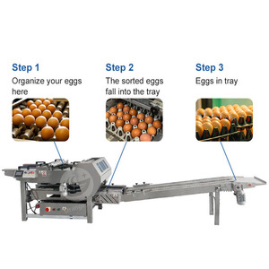 <strong>Automated</strong> Chicken Egg Pack <strong>Machine</strong> Egg Packer Egg <strong>Sorting</strong> and Pack <strong>Machine</strong> for Sale - Product Image 4