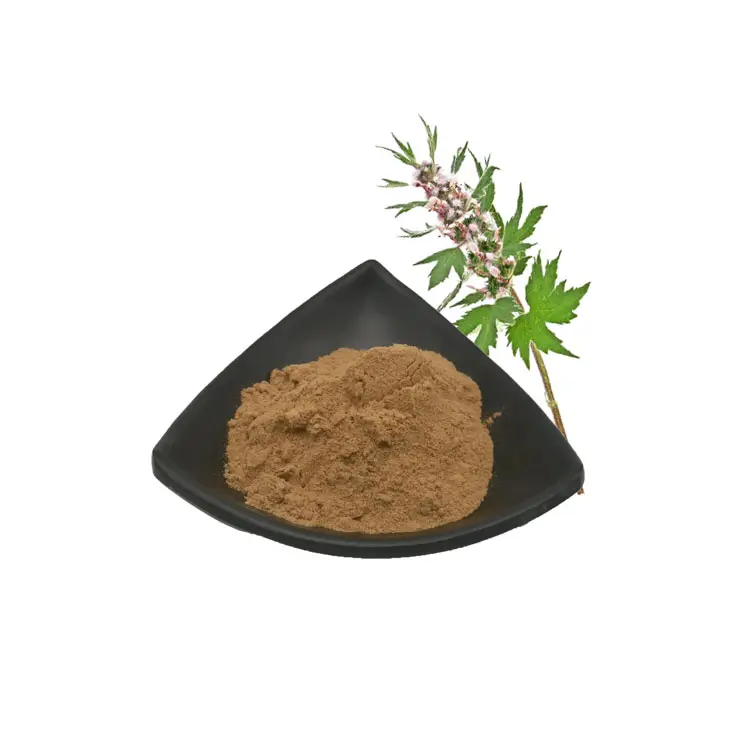 مستخلص من نبات العنبرة Leonurus Artemisia بنسبة 4:1 و20:1 مستخلص من نبات العنبرة 98% بودرة ستاكيدرين