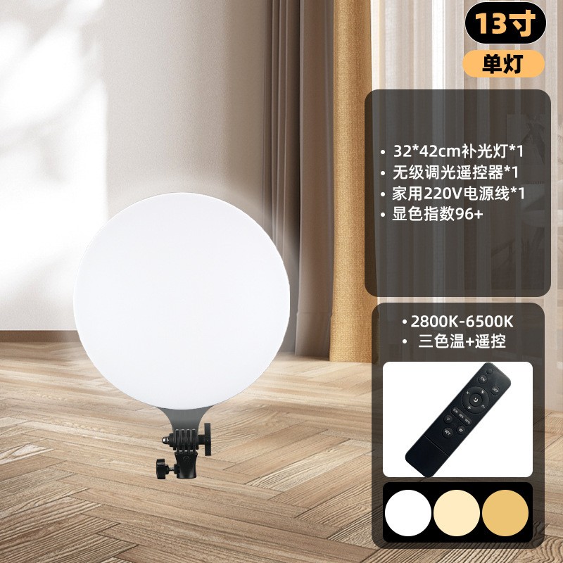 13 pouces-Lampe unique (PF-33)