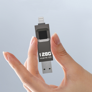 Fingerprint <strong>Encryption</strong> USB <strong>Flash</strong> Drive 256g Metal USB <strong>Flash</strong> Drive 128g Fingerprint USB <strong>Flash</strong> Drive for IPhone/iPad/PC - Product Image 1