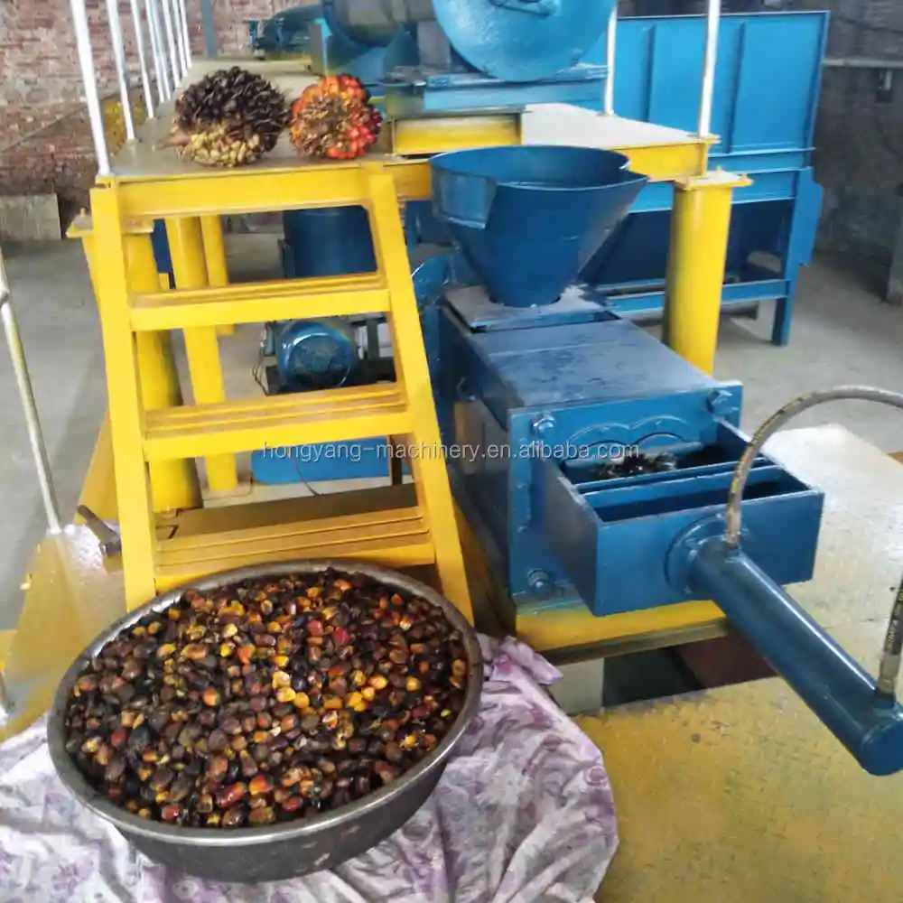 Popolare in Indonesia linea di produzione di olio di palma attrezzatura per l'estrazione, la raffinazione e il frazionamento dell'olio di palma