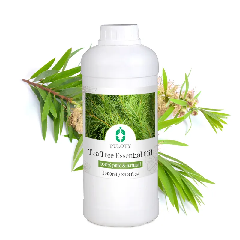 Huile d'arbre à thé de marque privée personnalisée pour les soins du visage 100% huile essentielle d'arbre à thé de Distillation à la vapeur Pure Nature