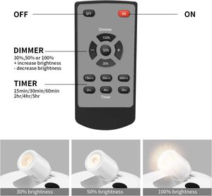 TUODI Ceiling Remote Control Motion <strong>Sensor</strong> <strong>Light</strong> TDL-7134 Rotating Angle Lifetime160 Days with Dimmer With Timer <strong>Function</strong> - Product Image 4
