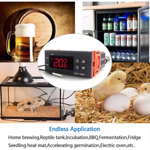 Controlador de temperatura LED Digital para calefacción, termostato centígrado de refrigeración, salida de 2 relés con sonda de Sensor NTC, 12V, 24V - Product Image 5