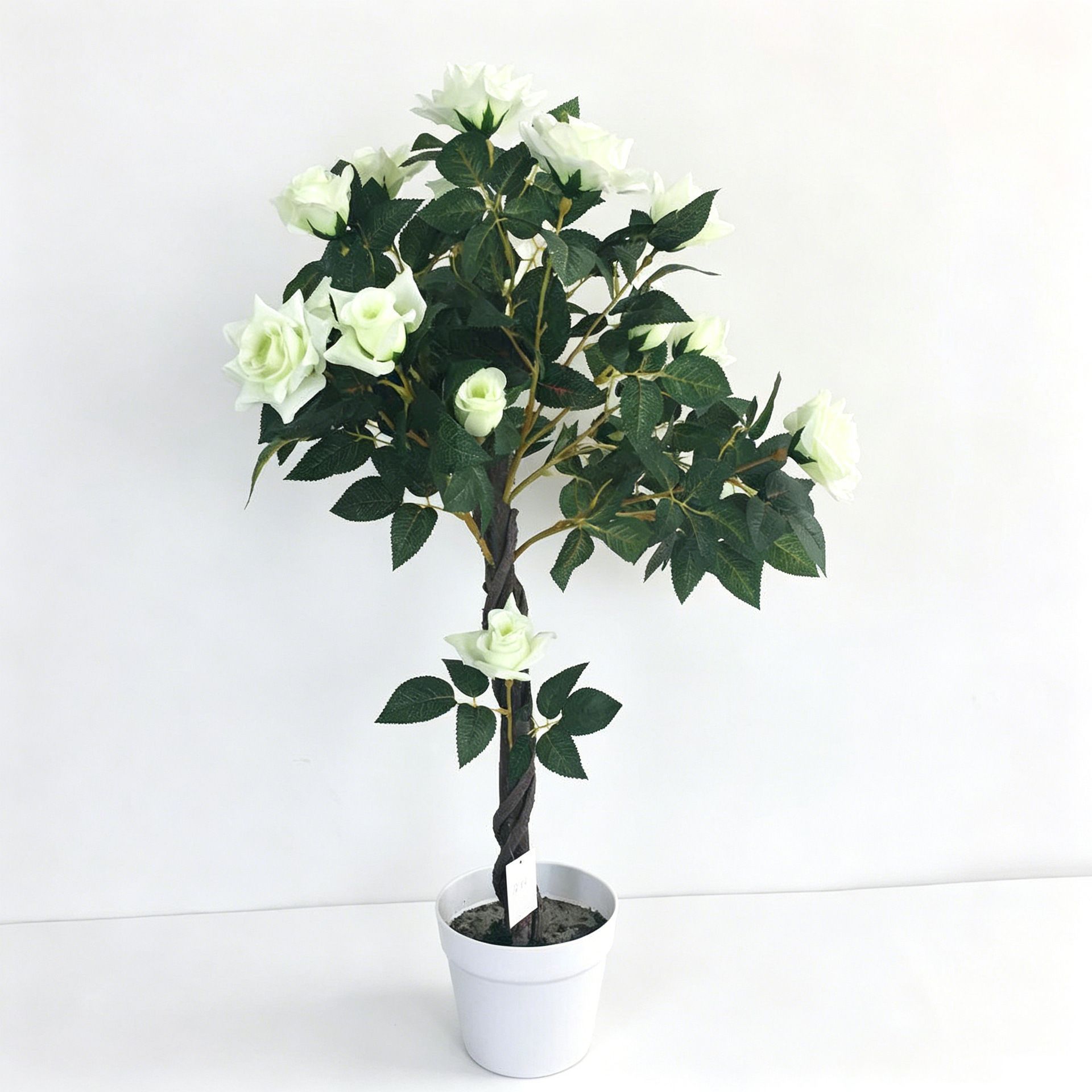 albero di rose bianco