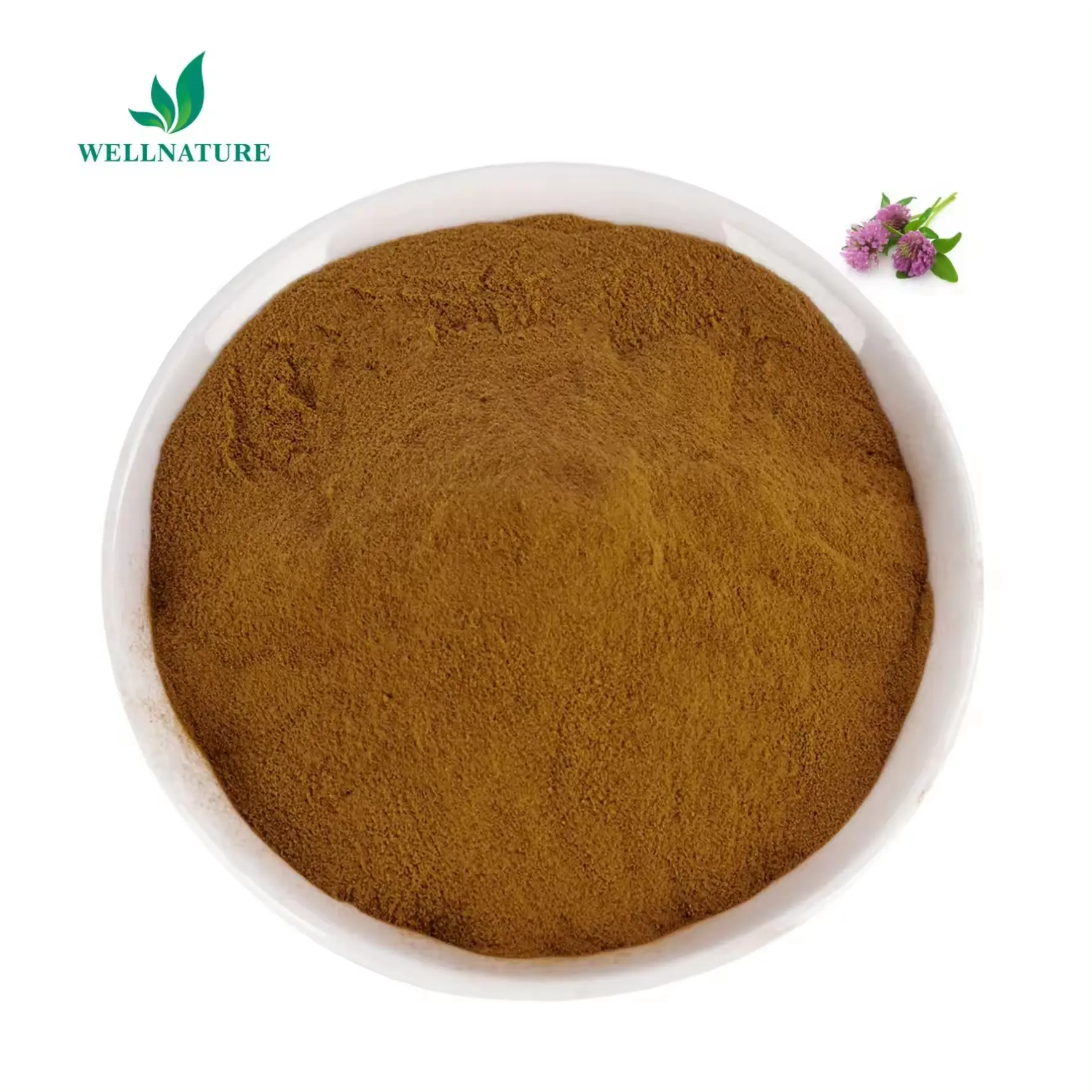 Wellnature Supply Poudre d'extrait de trèfle rouge 40% isoflavone